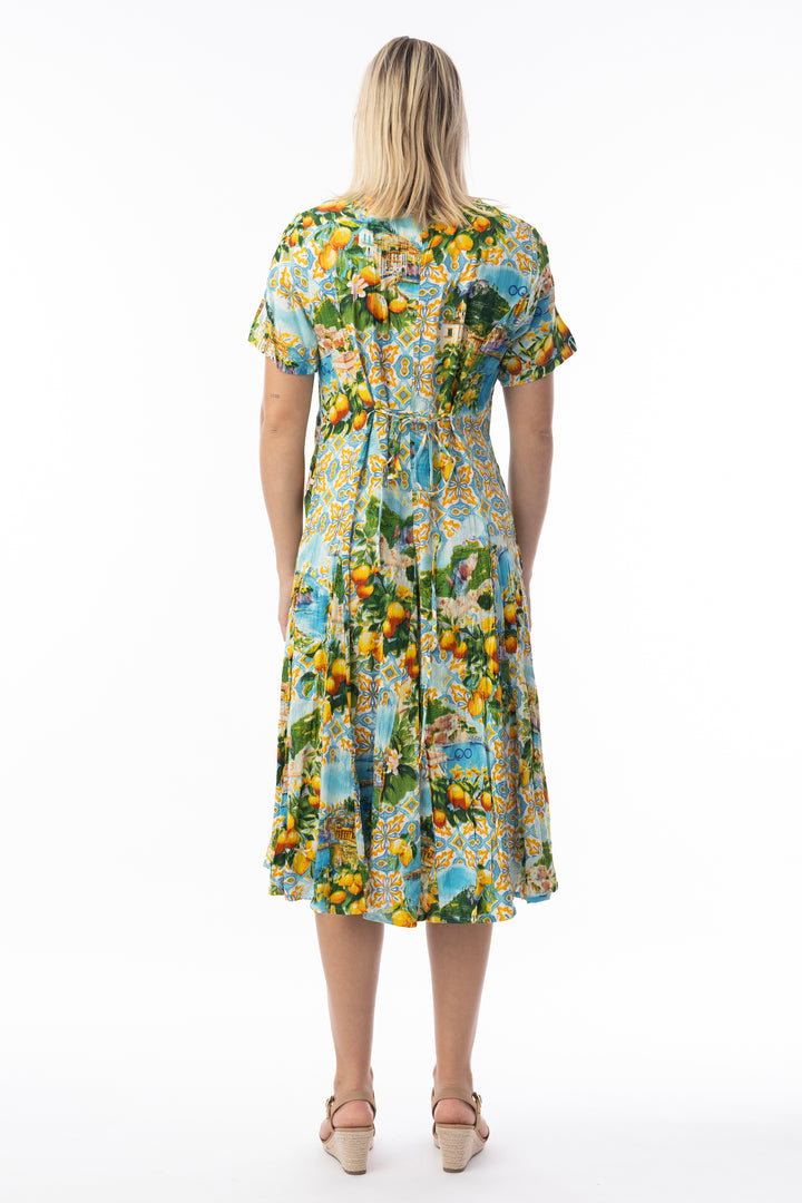 CRINKLE SS GODET DRESS