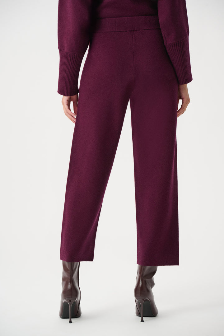 Maroon suit with matching pants on a white background