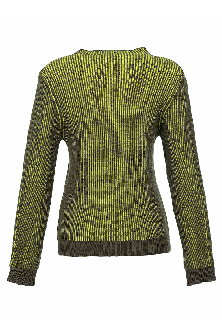 A green and yellow striped ribbed knit sweater shown from the back, featuring long sleeves and a crew neck on a plain white background.