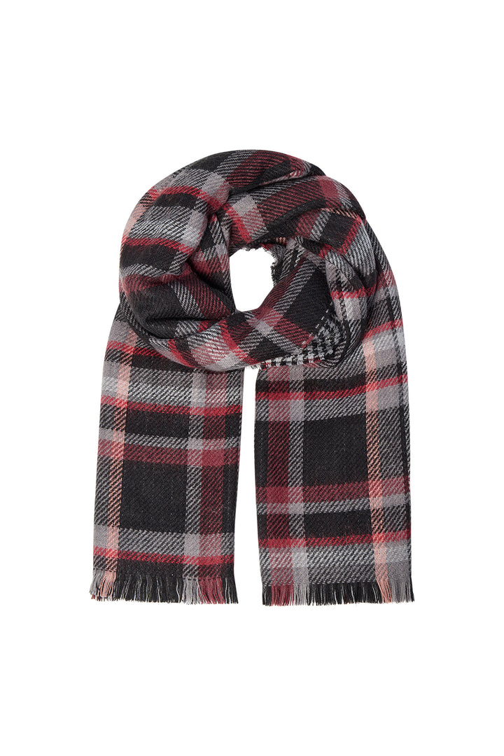 Soya Concept Fall 2025 